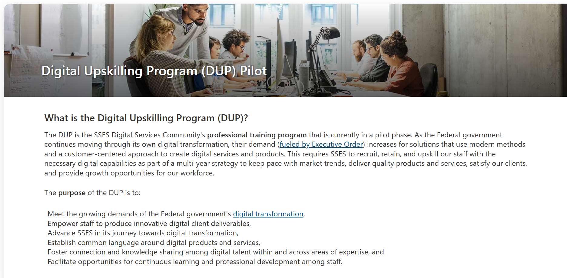 Internal Digital Upskilling Program
