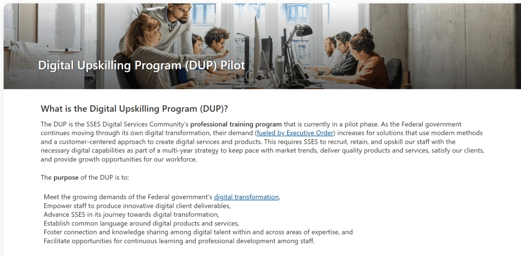 Internal Digital Upskilling Program